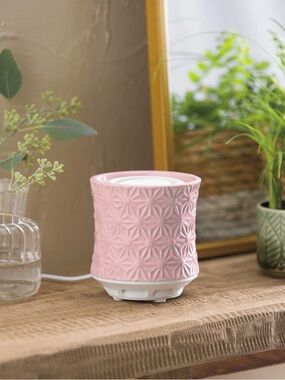 Scentsy Air - Burst